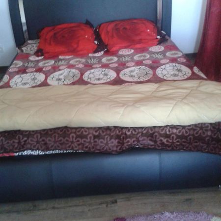Villa Alex Slatina  Luaran gambar